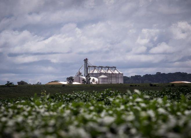 271 Anos - Pioneiros do agronegócio impulsionam desenvolvimento de Mato Grosso