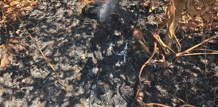 DERF de Confresa prende dois criminosos envolvidos em latrocínio de empresário de Canabrava do Norte