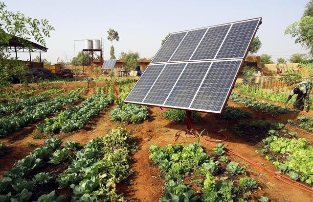 Seaf estuda exploração da energia solar na produção agrícola