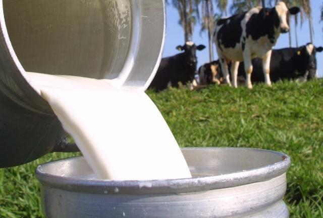 Mais de 130 mil agricultores serão beneficiados pelo Susaf em Mato Grosso