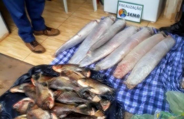 Sema apreende 108 kg de pescado irregular e aplicam multa de R$ 6,1 mil em MT em Confresa e Porto Alegre