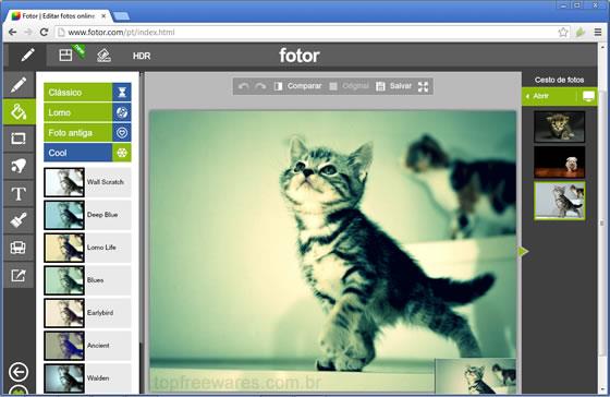 Editor de Fotos Online