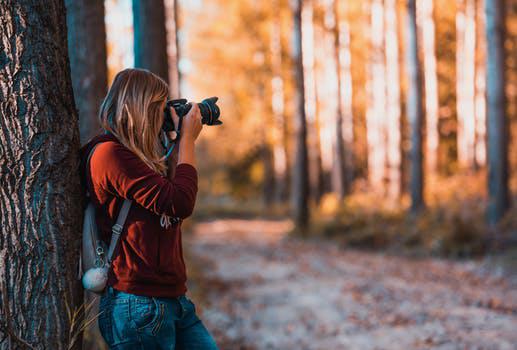 7 melhores editores de foto online para computador e celular - Rock Content