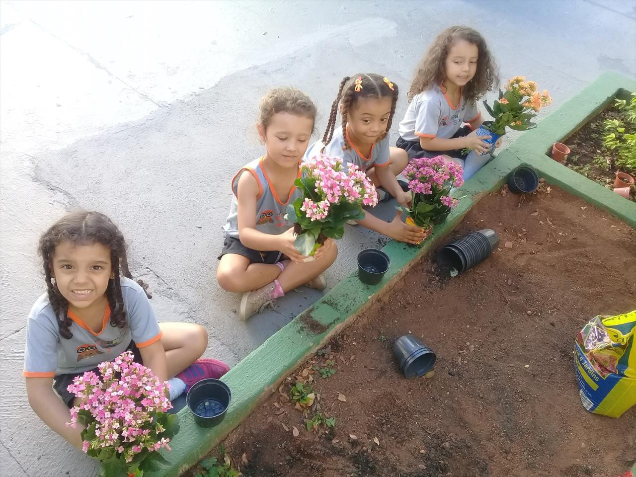 Atividade na Horta - Projeto Primavera