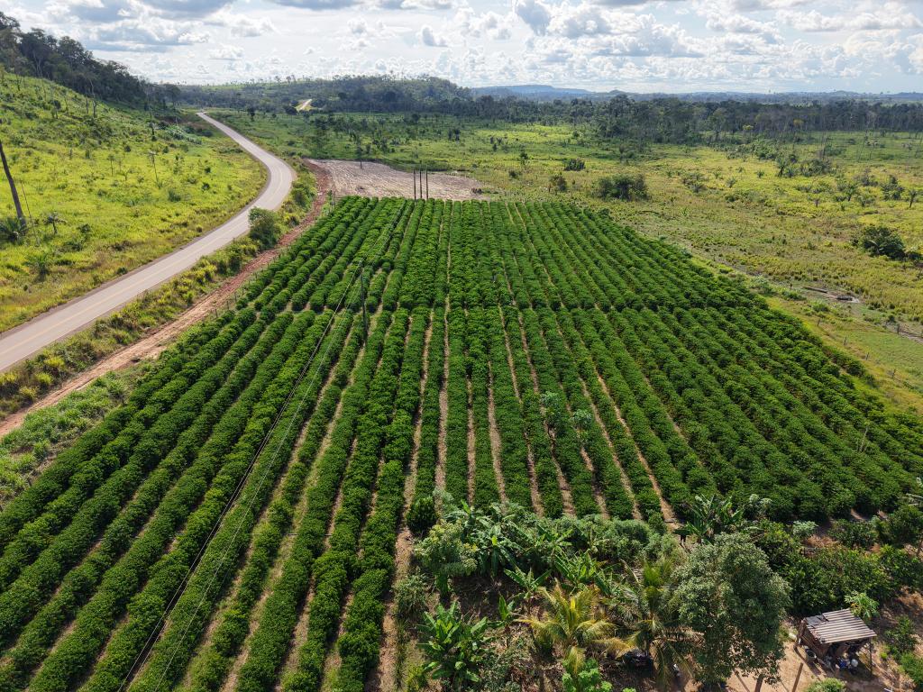 Seaf inicia mobilização do MT Produtivo em 61 municípios de Mato Grosso