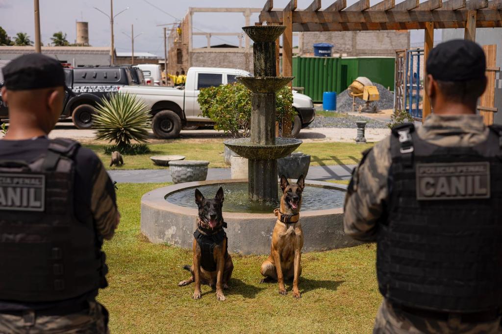 Sejus reúne equipes caninas das forças de segurança para torneio de habilidades em Cuiabá