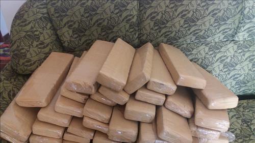 Porto Velho; Polícia Militar apreende 50 quilos de maconha em Porto Velho Droga apreendida pela Polícia Militar na Capital