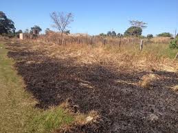 Idoso é encontrado morto em queimada de pasto na zona rural de Tarilândia em Jaru