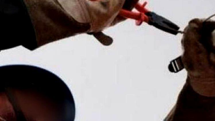 Funcionário da Energisa é espancado ao tentar cortar energia de residência