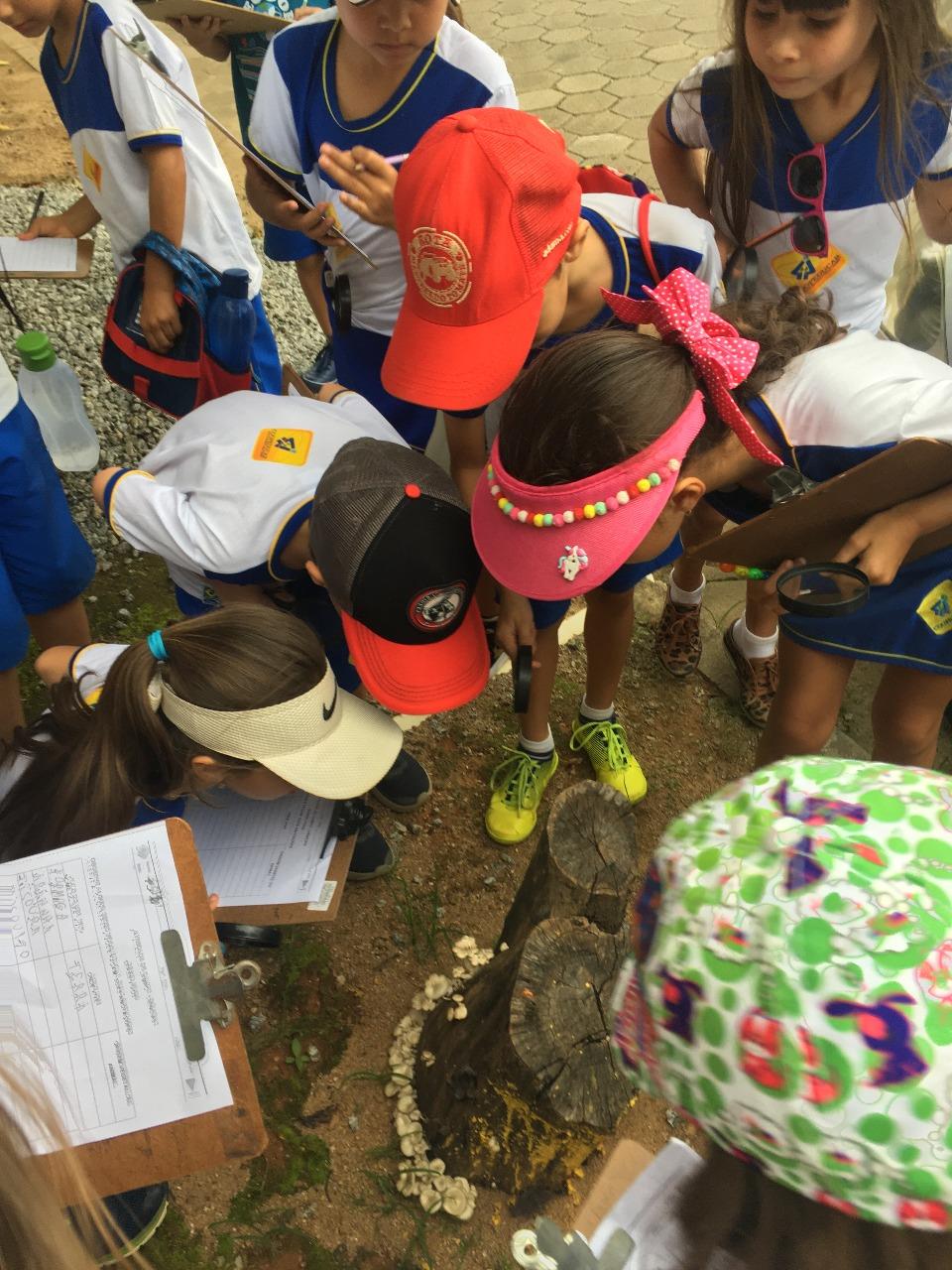 PRÁTICA E INVESTIGAÇÃO SOBRE A NATUREZA COM ALUNOS DO SEGUNDO ANO PRÁTICA E INVESTIGAÇÃO SOBRE A NATUREZA COM ALUNOS DO SEGUNDO ANO