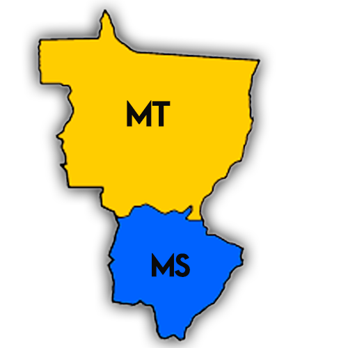 Área de Atuação