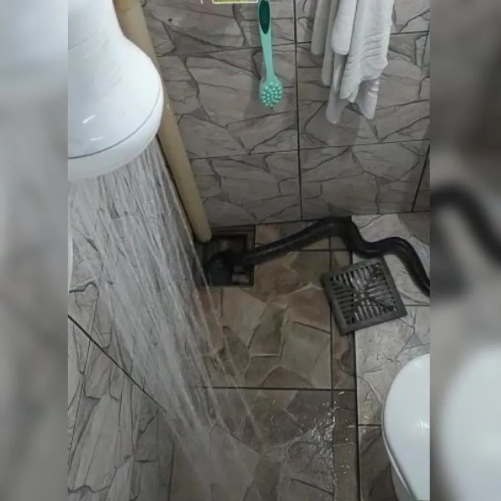Durante banho, morador se assusta com cobra saindo de ralo em MT