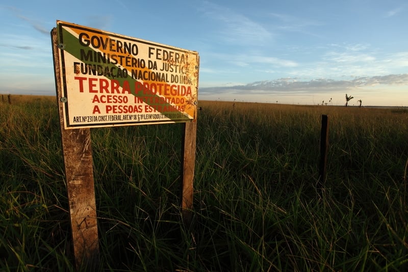 Fornecedores da JBS criaram ilegalmente gado em terra indígena no Norte Araguaia