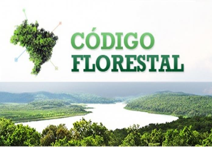 Governo sinaliza a ruralistas que reenviará ao Congresso medida que altera Código Florestal