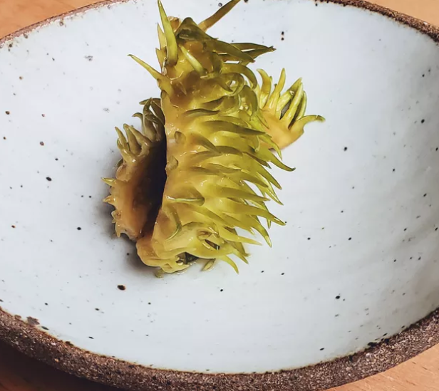 Telma Shiraishi: cozinha japonesa sem salmão, mas com maxixe e cachaça