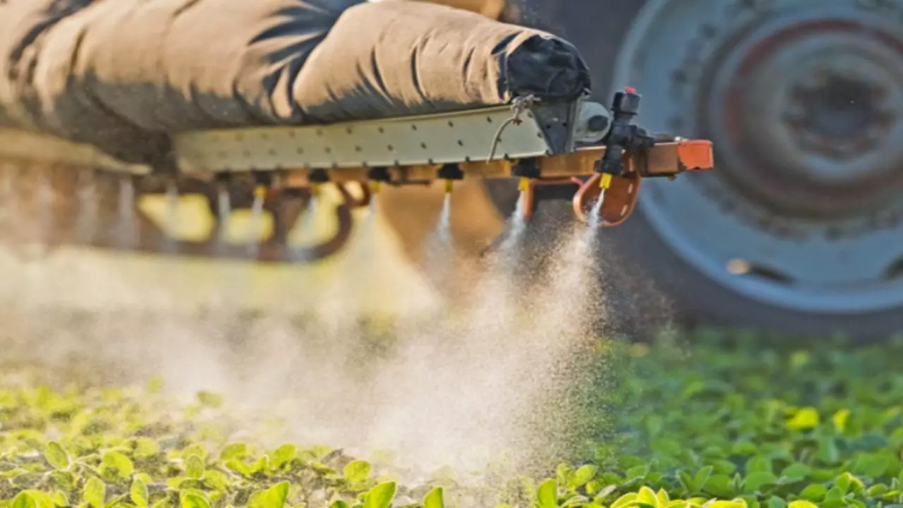 Santa Clara realiza curso para agricultores e aplicadores de Herbicidas Hormonais