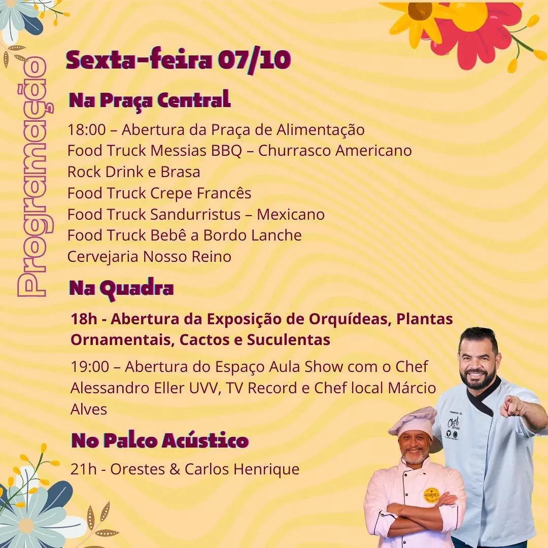 Imagem da Galeria