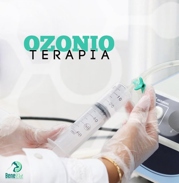 PDF) POTENCIAL TERAPÊUTICO DO OZÔNIO NA MEDICINA VETERINÁRIA INTEGRATIVA