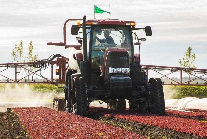 Mais econômicas e com baixo custo de manutenção, esteiras ganham mercado agro no Brasil