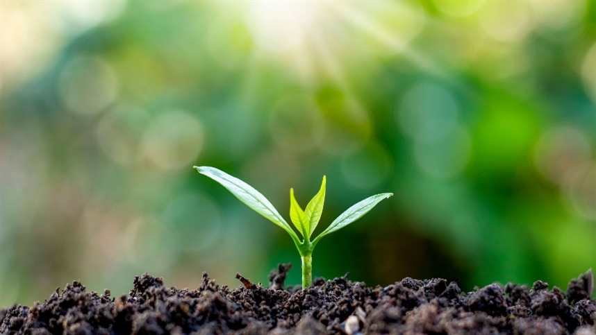 Brasil na vanguarda da saúde do solo