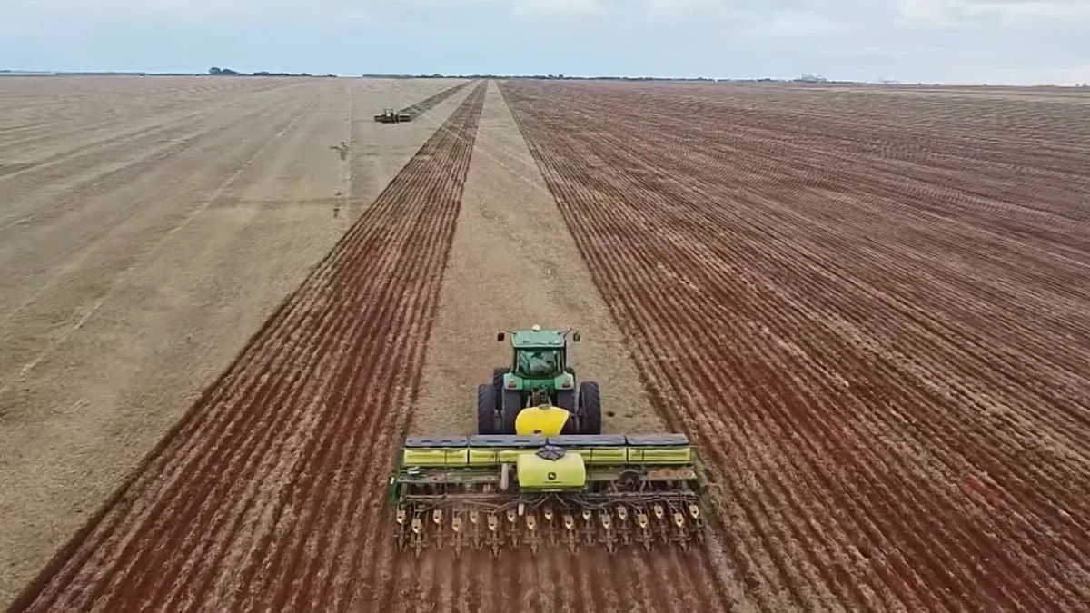 Plantio da soja avança em Mato Grosso, mas desacelera ante a safra 2024/25