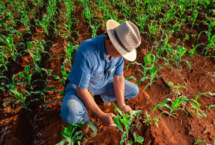 Agro brasileiro combina recorde de produção com avanço em sustentabilidade e práticas ESG consolidadas