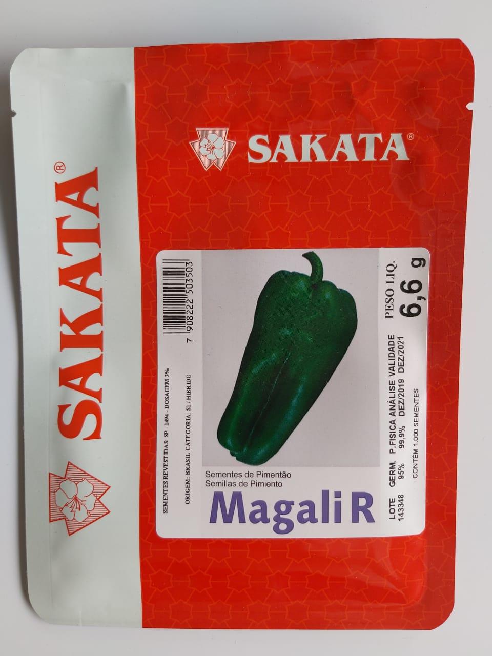 SEMENTE DE PIMENTÃO HÍBRIDO MAGALI R SEMENTE DE PIMENTÃO HÍBRIDO MAGALI R