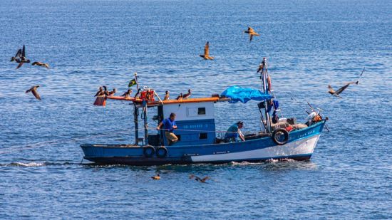 SEGURO DEFESO - Mais de 5 mil pescadores profissionais têm licença suspensa ou cancelada por indícios de fraudes