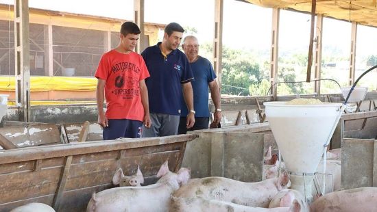 IPVS2022 - Questões de ESG serão debatidas no painel de Agronegócio do evento de suinocultura