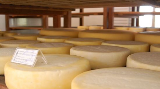 QUEIJO ARTESANAL – CNA divulga os finalistas da primeira etapa de concurso