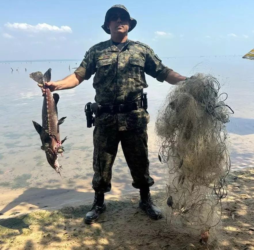 PIRACEMA ][ Palmas intensifica fiscalização a partir de 1º de novembro