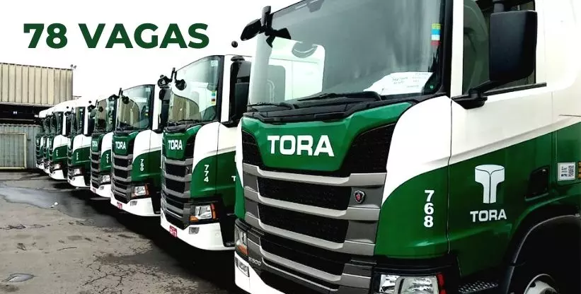A foto mostra a frota de caminhões da Tora Logística