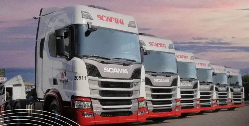 A foto mostra uma frota de caminhões Scania da empresa Scapini Transportes