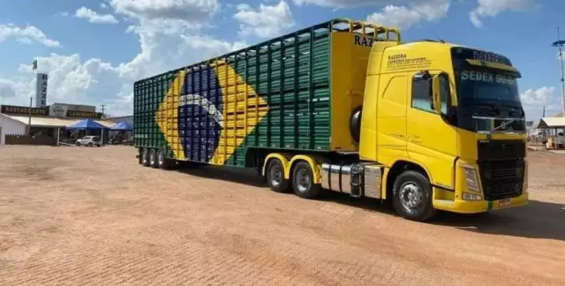 A foto mostra uma carreta pintada com a bandeira do Brasil