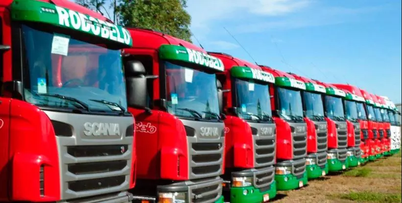 A foto mostra a frota da empresa Rodobelo Transportes