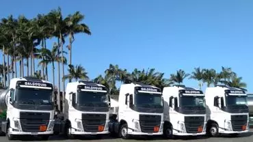 A foto mostra a frota de carretas da empresa Transportes Dalçoquio Ltda