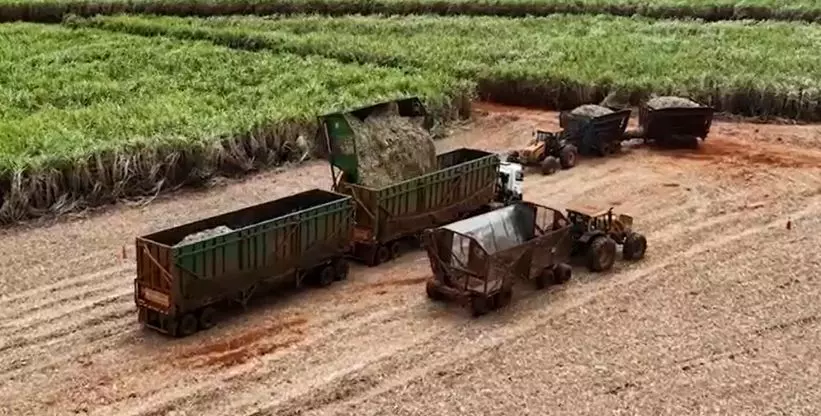 Unidas Pesados abre vagas para motoristas de rodotrem