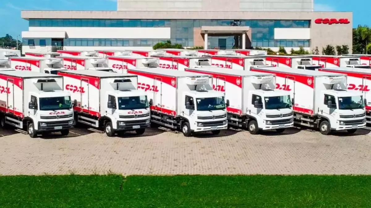  Frota da empresa Copal Alimentos 