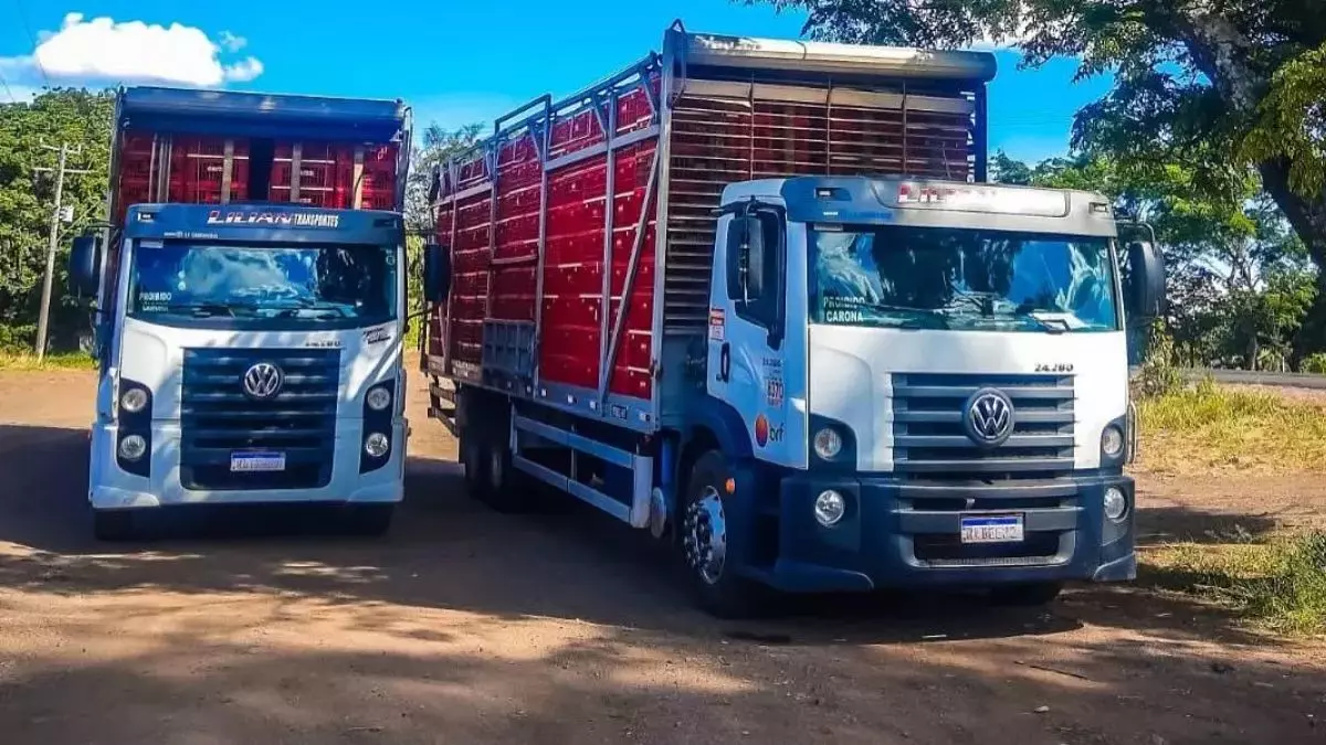 Frota da empresa Lilian Transportes