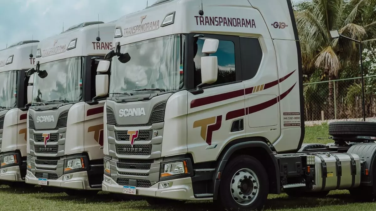 A foto mostra uma frota de caminhões da Transpanorama