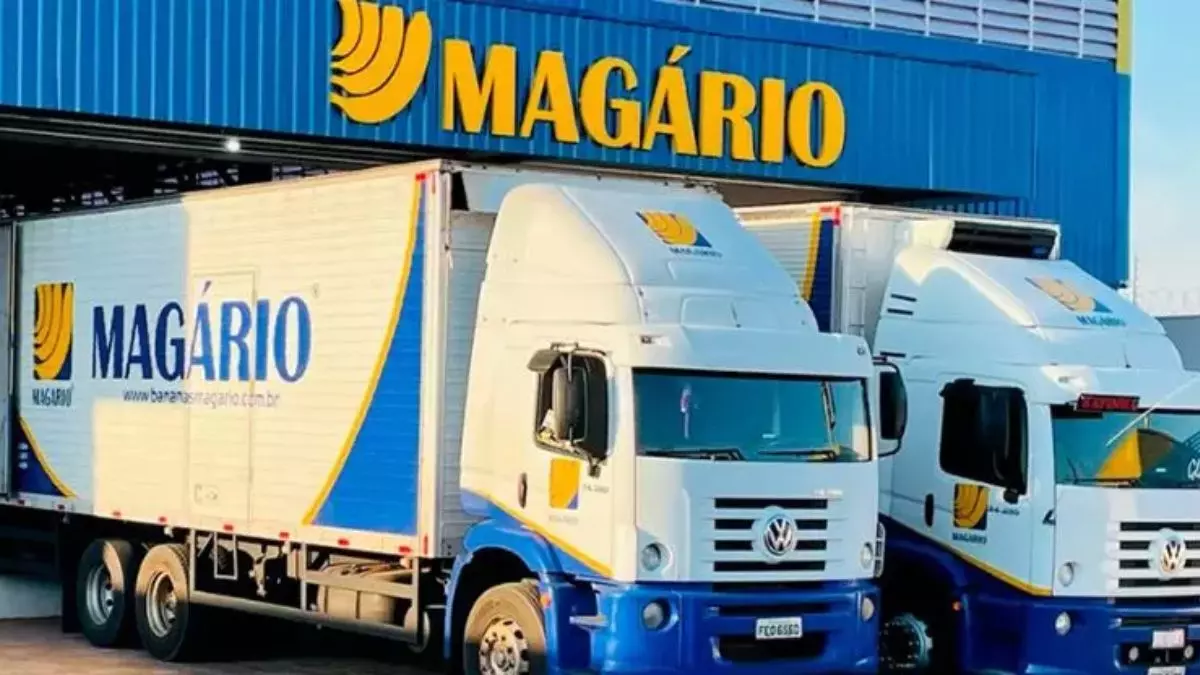 A foto mostra dois caminhões da Bananas Magário
