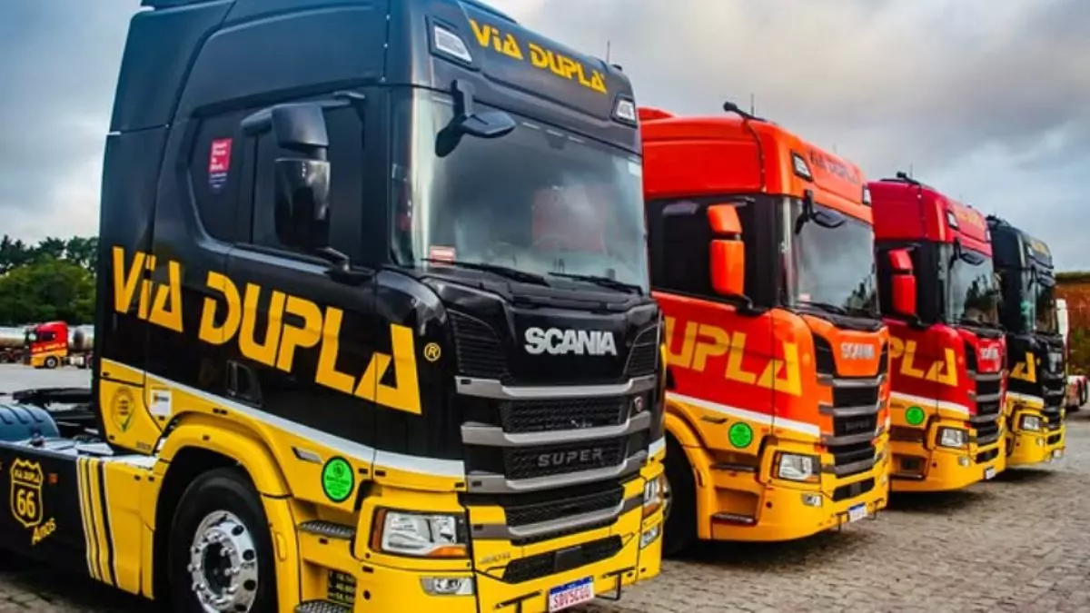 A foto mostra uma frota de caminhões da Via Dupla Transportes
