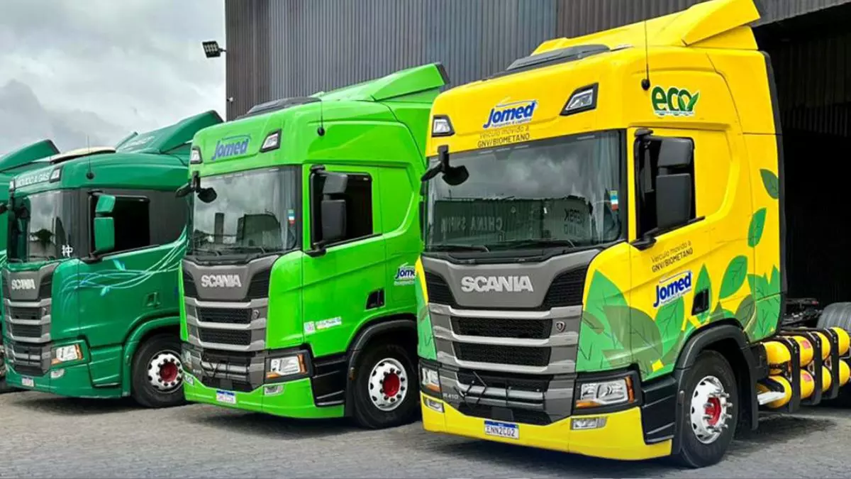 A foto mostra uma frota de caminhões da Jomed Transportes