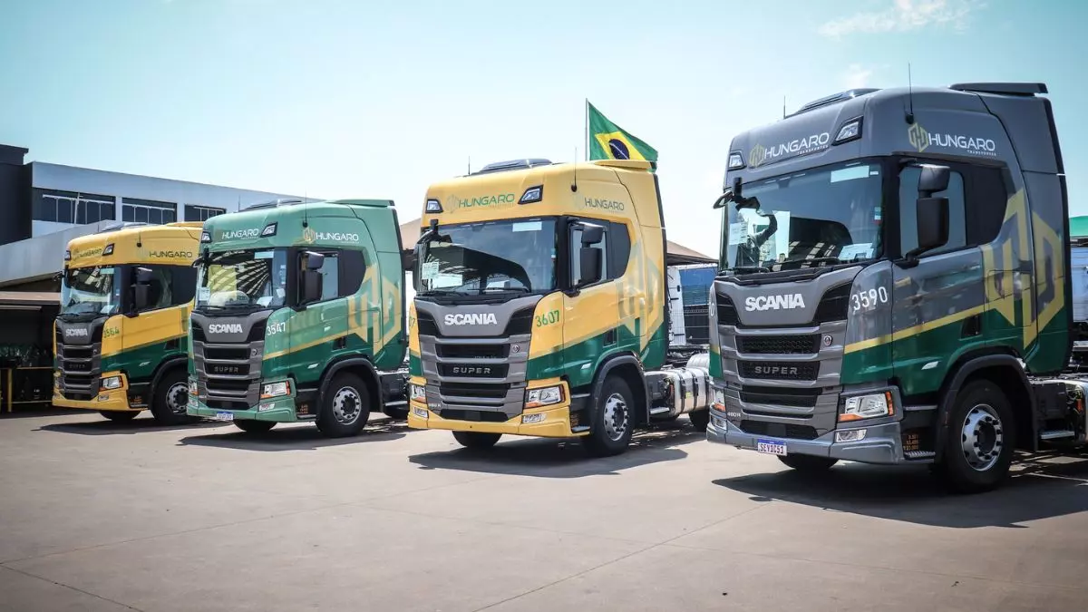 A foto mostra uma frota de caminhões da Hungaro Transportes