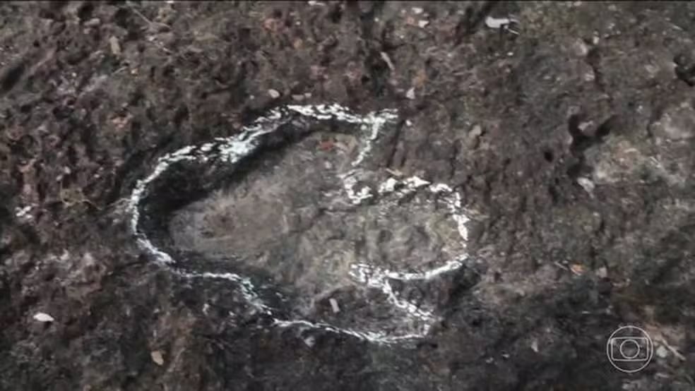 Pesquisadores de Roraima descobrem pegadas de dinossauros na Amazônia