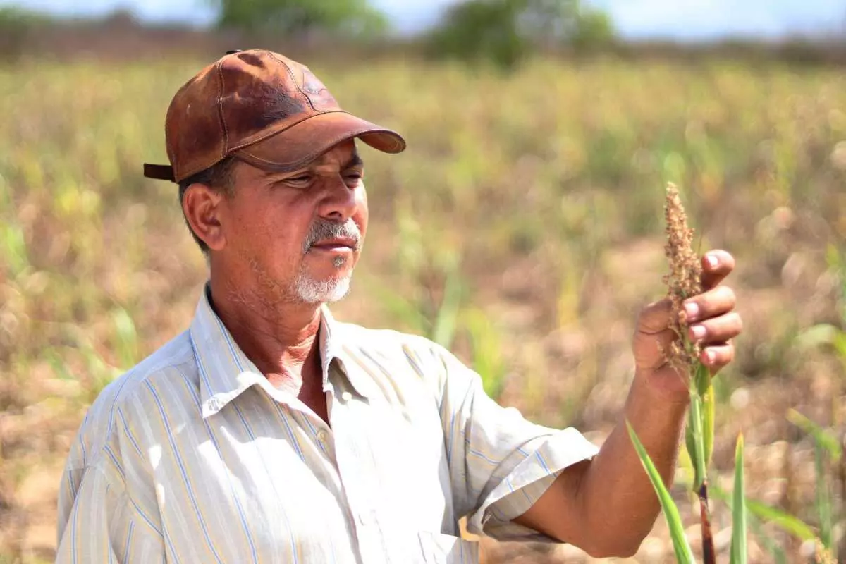 Governo do Ceará dispensa agricultores de 50 municípios do pagamento do boleto do Hora de Plantar