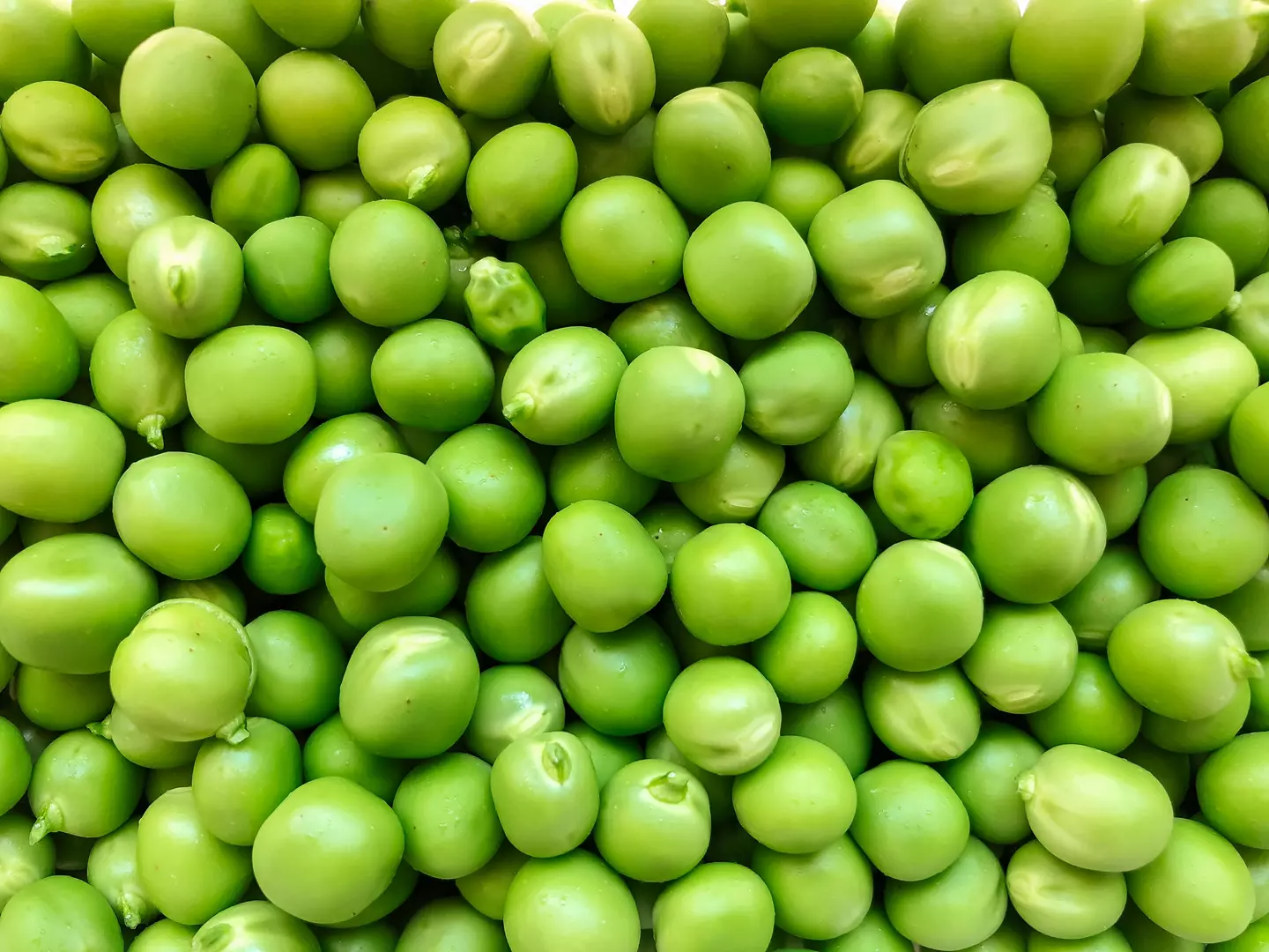 Ervilha Ervilha