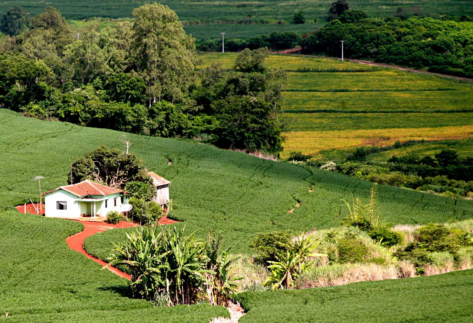 Documentos para compra e venda e imóvel rural