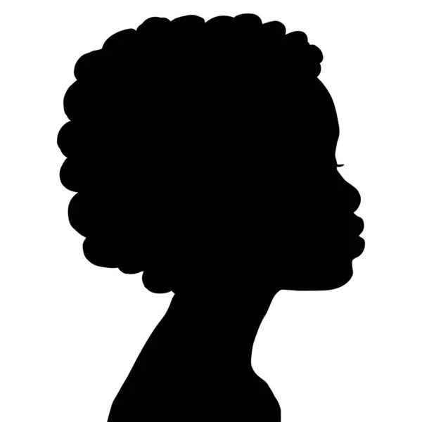 Fiscalidade e Desigualdade Racial Fiscalidade e Desigualdade Racial