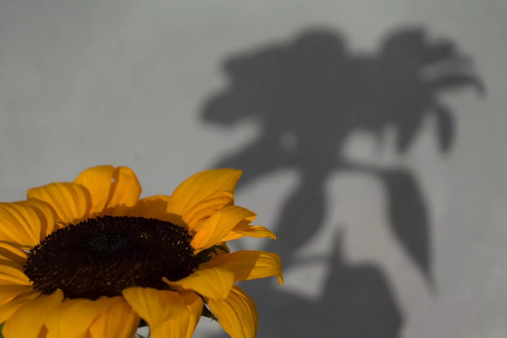 Mooca tem novo espaço Cultural